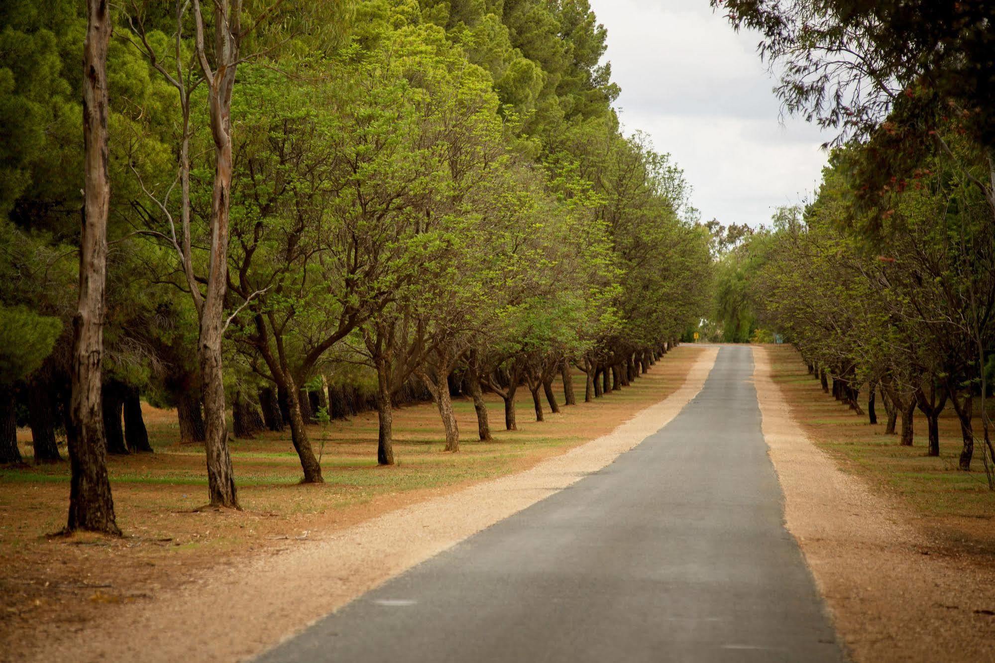 Renmark Country Club Exterior foto